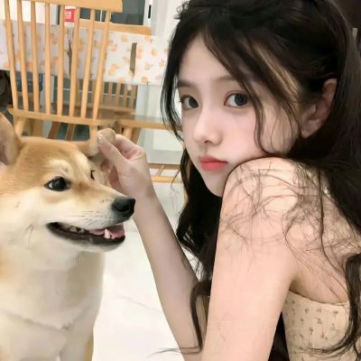 绝望写手第四季